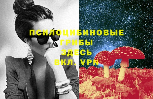 a pvp Абаза