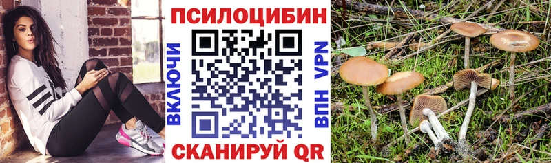 Псилоцибиновые грибы GOLDEN TEACHER Тобольск
